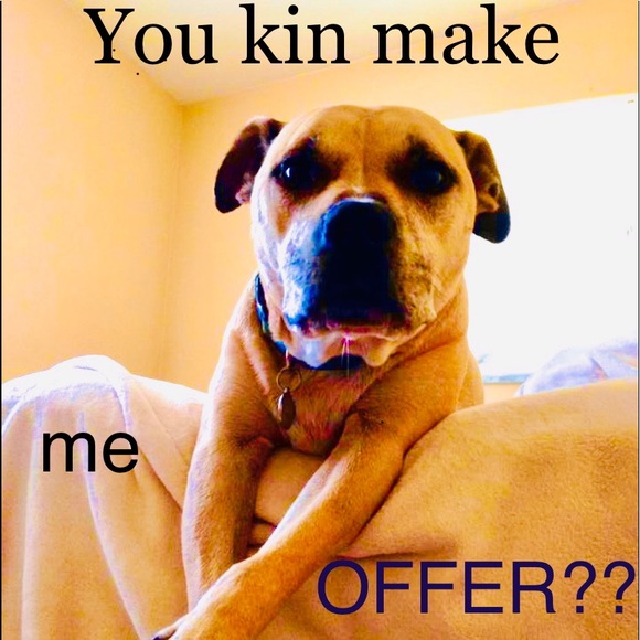 Meet your Posher, Nancy - Picture 1 of 8